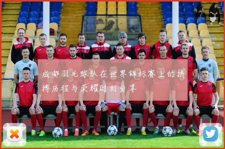 成都羽毛球队在世界锦标赛上的拼搏历程与荣耀时刻分享