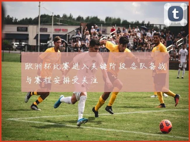 欧洲杯比赛进入关键阶段 各队备战与赛程安排受关注