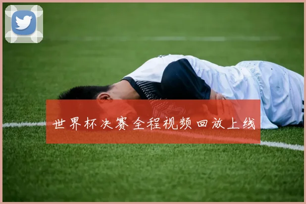 世界杯决赛全程视频回放上线