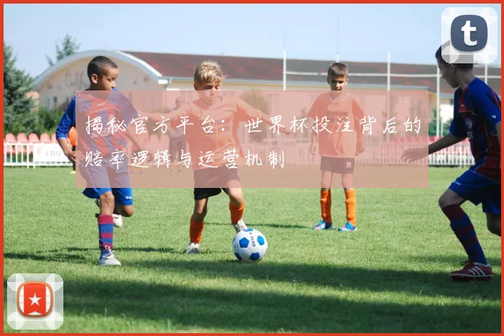 揭秘官方平台：世界杯投注背后的赔率逻辑与运营机制