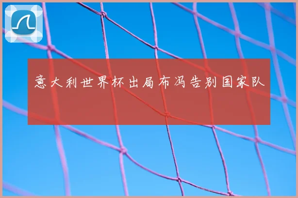 意大利世界杯出局布冯告别国家队