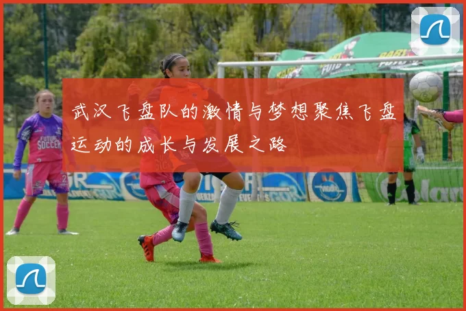 武汉飞盘队的激情与梦想聚焦飞盘运动的成长与发展之路
