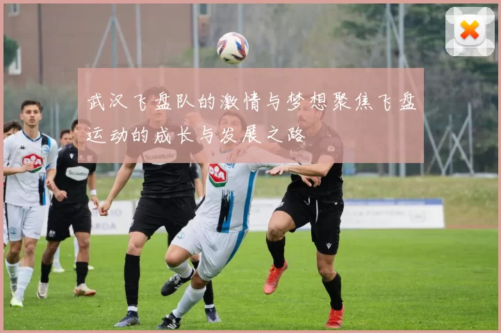 武汉飞盘队的激情与梦想聚焦飞盘运动的成长与发展之路