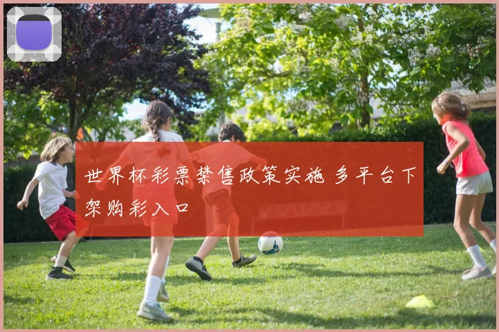 世界杯彩票禁售政策实施 多平台下架购彩入口