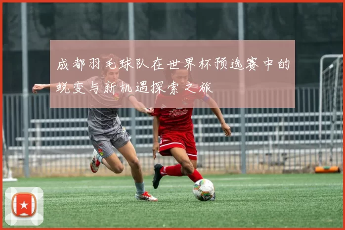 成都羽毛球队在世界杯预选赛中的蜕变与新机遇探索之旅
