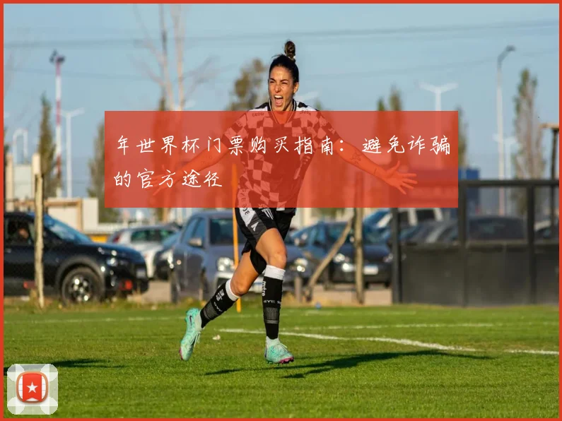 年世界杯门票购买指南:避免诈骗的官方途径