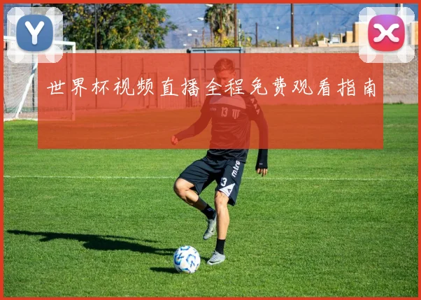 世界杯视频直播全程免费观看指南