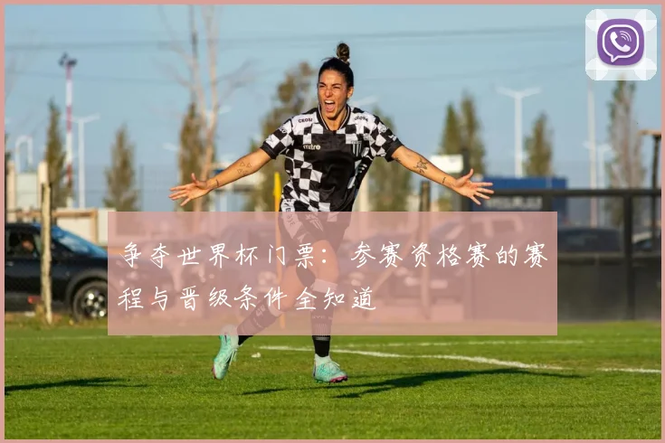争夺世界杯门票:参赛资格赛的赛程与晋级条件全知道