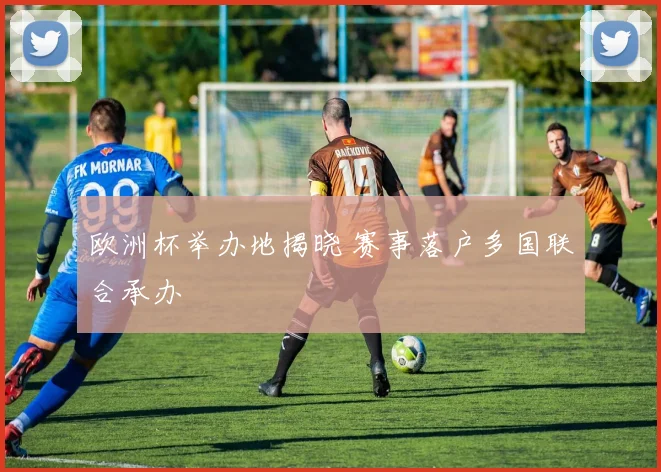 欧洲杯举办地揭晓 赛事落户多国联合承办
