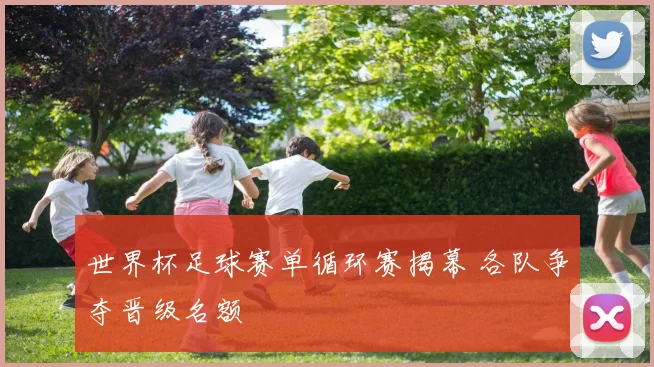 世界杯足球赛单循环赛揭幕 各队争夺晋级名额