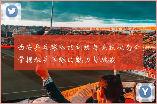 西安乒乓球队的训练与竞技状态全景揭秘乒乓球的魅力与挑战
