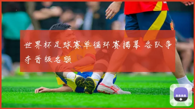 世界杯足球赛单循环赛揭幕 各队争夺晋级名额