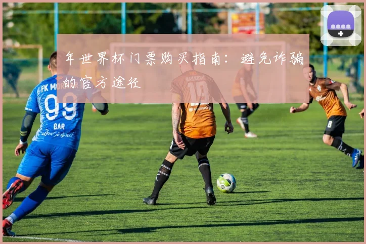 年世界杯门票购买指南:避免诈骗的官方途径